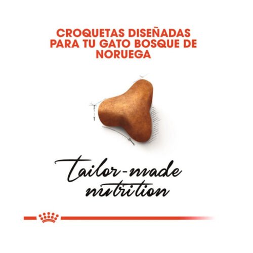 royal-canin-royal-canin-norwegian-forest-cat-adult-gato-adulto-folleto Folleto Royal Canin Norwegian Forest Cat Adult