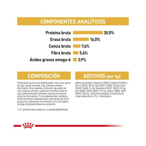 royal-canin-royal-canin-norwegian-forest-cat-adult-gato-adulto-folleto2 Detalle informativo Royal Canin Norwegian Forest Cat Adult