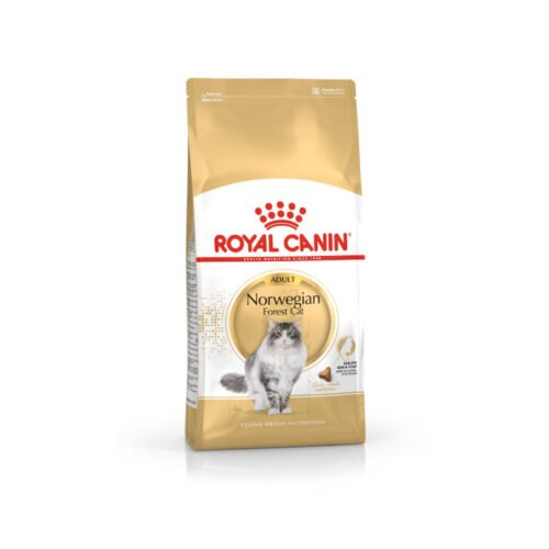 royal-canin-royal-canin-norwegian-forest-cat-adult-gato-adulto-royal-canin-norwegian-forest-cat-adult Pack frontal del saco Royal Canin Norwegian Forest Cat Adult