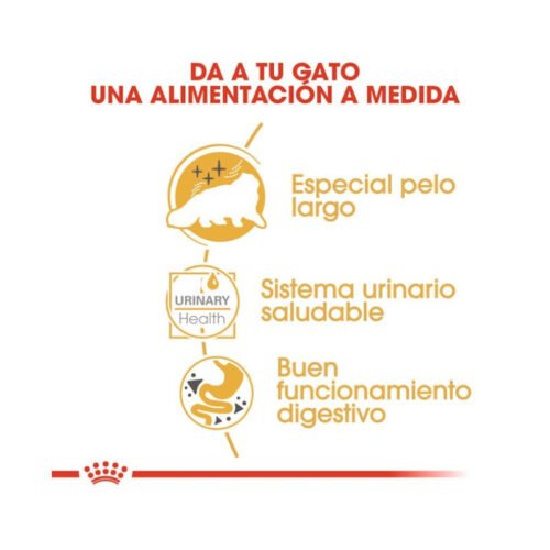 Beneficios nutricionales Royal Canin Persian Adult húmedo