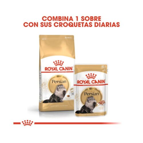 Infografía sobre alimentación mixta Royal Canin Persian Adult húmedo