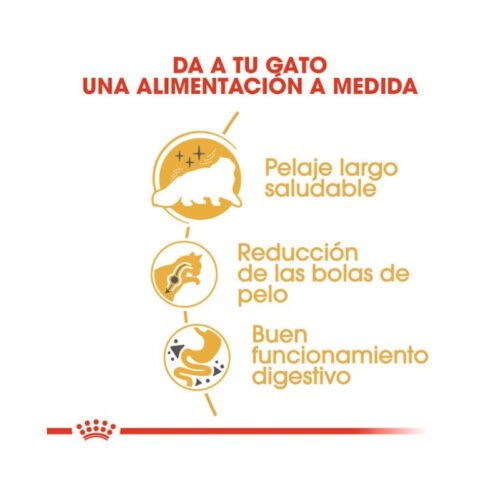 Royal Canin Persian beneficios clave para salud digestiva y pelaje