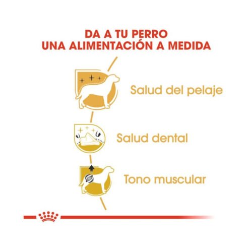 Beneficios del pienso Royal Canin Poodle Adult