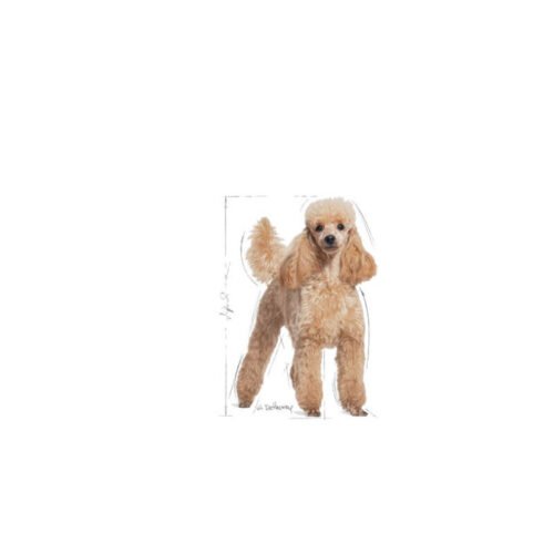 Imagen trasera del saco Royal Canin Poodle Adult