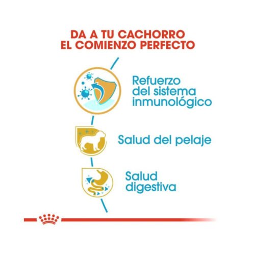 Beneficios principales del pienso Royal Canin Poodle Puppy