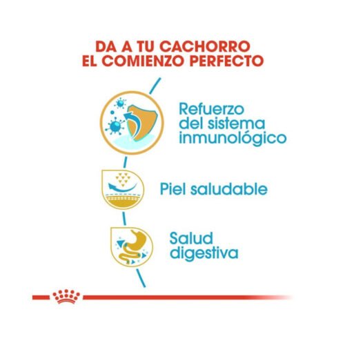royal-canin-royal-canin-pug-puppy-perro-cachorro-beneficios Royal Canin Pug Puppy beneficios nutricionales
