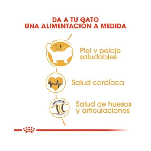 Detalle informativo Royal Canin Ragdoll Adult