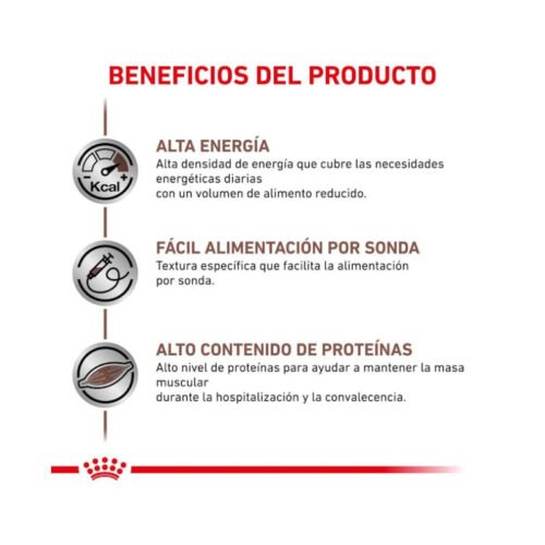 Royal Canin Recovery Mousse Ultra Suave beneficios principales