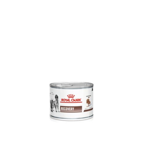 Royal Canin Recovery Mousse Ultra Suave pack frontal perro y gato