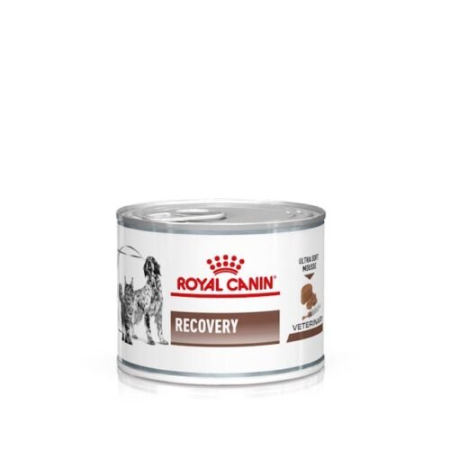 Royal Canin Recovery Mousse Ultra Suave en lata, pack frontal