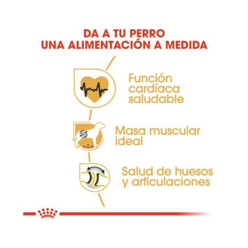 royal-canin-royal-canin-rottweiler-adult-perro-adulto-beneficios Beneficios Royal Canin Rottweiler Adult