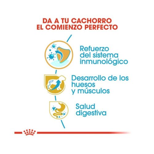 Royal Canin Rottweiler Puppy beneficios