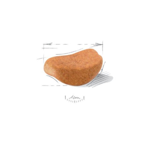 Royal Canin Rottweiler Puppy croquetas