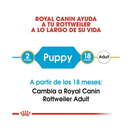 Royal Canin Rottweiler Puppy etapa de crecimiento