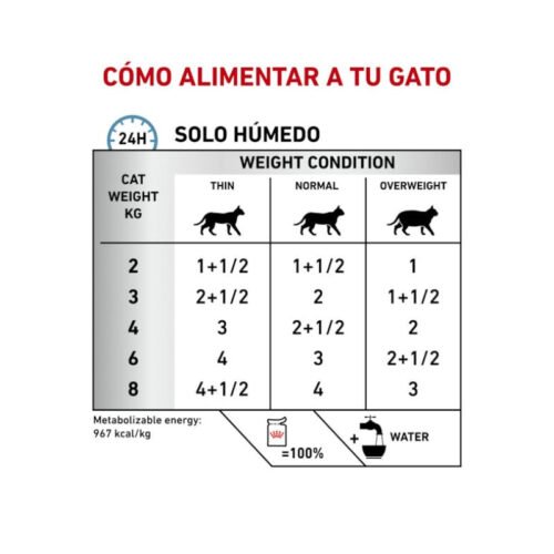 Royal Canin Sensitivity Control Gato Pollo Con Arroz tabla de raciones