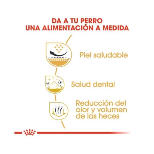 Beneficios del pienso Royal Canin Shih Tzu Adult