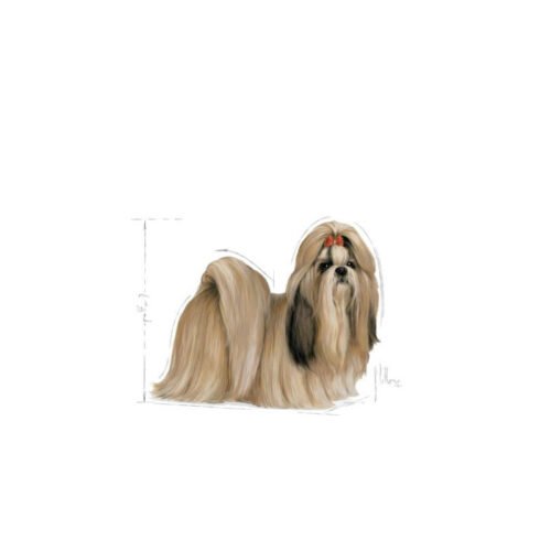 Imagen trasera del saco Royal Canin Shih Tzu Adult