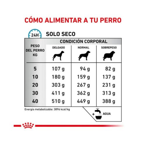 Royal Canin Skin Care componentes