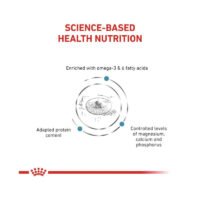 Royal Canin Skin & Coat Gato pienso para gatos lateral del envase