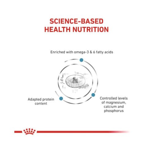 Royal Canin Skin & Coat Gato pienso para gatos lateral del envase