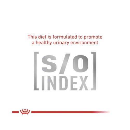 Royal Canin Skin & Coat Gato pienso para gatos composición e ingredientes