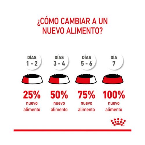 Detalle lata Royal Canin Starter Mousse