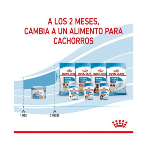 Pack Royal Canin Starter Mousse y transición puppy