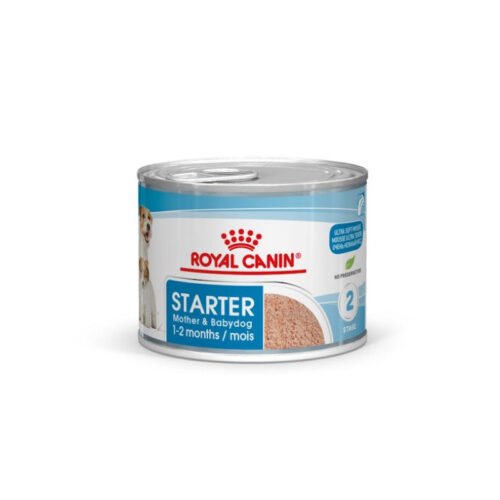 Lata frontal Royal Canin Starter Mousse