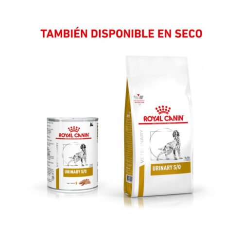pack combinado royal canin urinary s/o paté perro