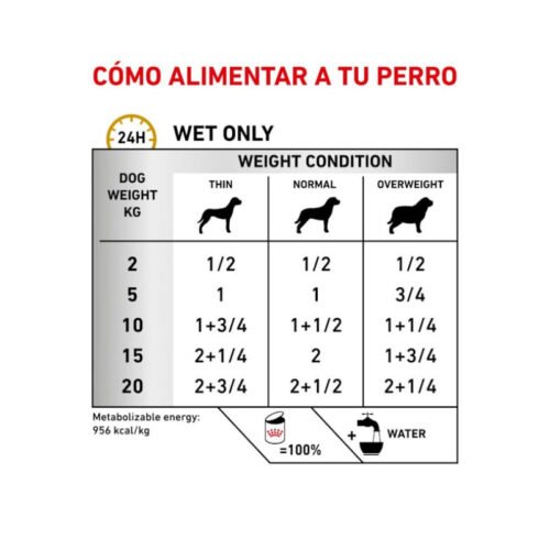 tabla de racionamiento royal canin urinary s/o paté perro