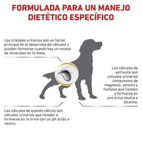 beneficios Royal Canin Urinary S/O perro