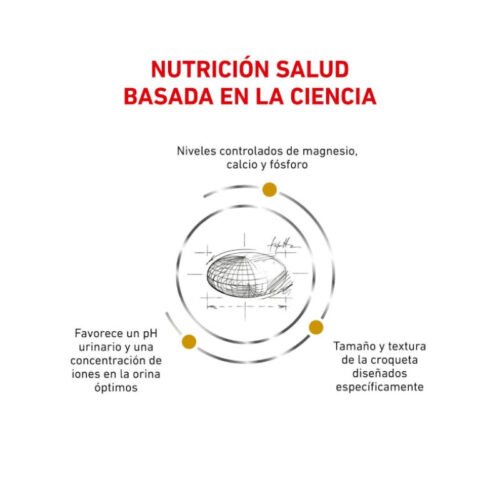 beneficios pienso Royal Canin Urinary S/o Small Dog