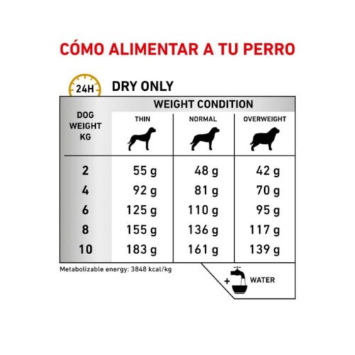 ilustración racionamiento Royal Canin Urinary S/o Small Dog