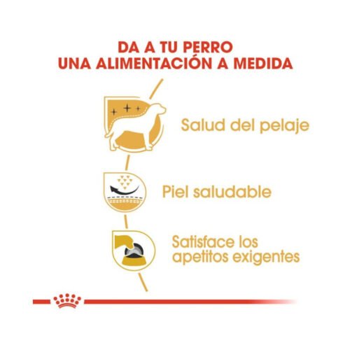 Beneficios del pienso Royal Canin West Highland White Terrier Adult