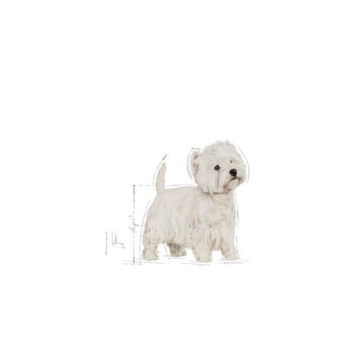 Imagen trasera del saco Royal Canin West Highland White Terrier Adult