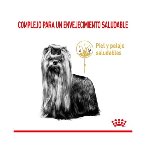 Imagen de los beneficios del pienso Royal Canin Yorkshire Terrier 8+