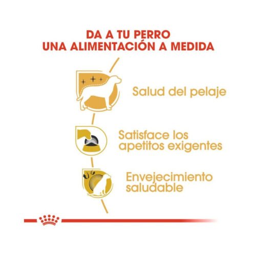 Imagen de los beneficios del pienso Royal Canin Yorkshire Terrier Adult