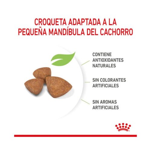 croquetas marrones para perros mini