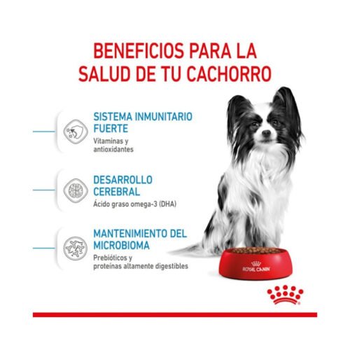 cachorro mini junto a bol con pienso y beneficios detallados