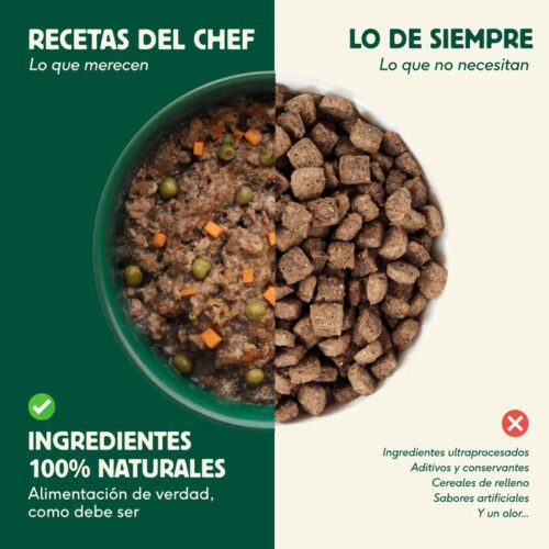 Comparativa Recetas del Chef frente a alimentación tradicional