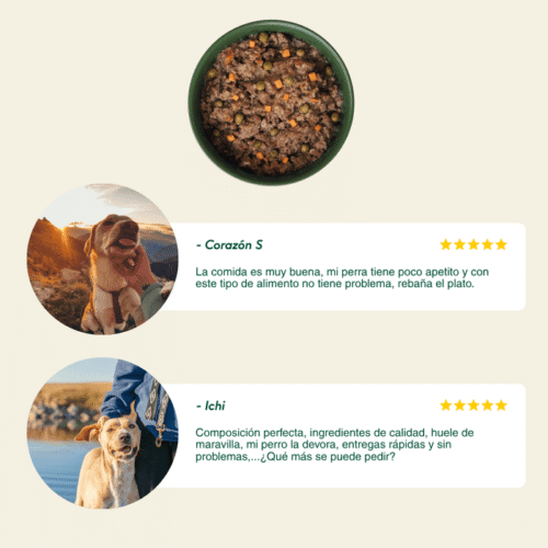 Opiniones de clientes sobre Ragut Tradicional Wild Balance