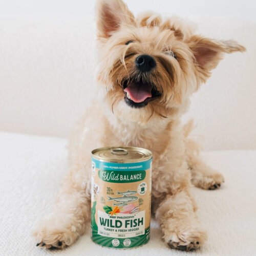 Perro con lata Wild Balance Wild Fish Pavo y Pescado