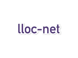 Lloc net