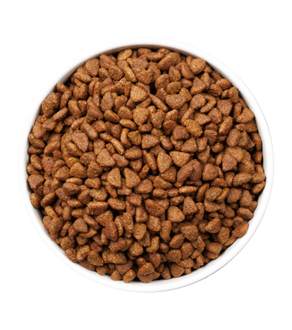 Cuenco con ración de Ownat Ultra Kitten Sterilized