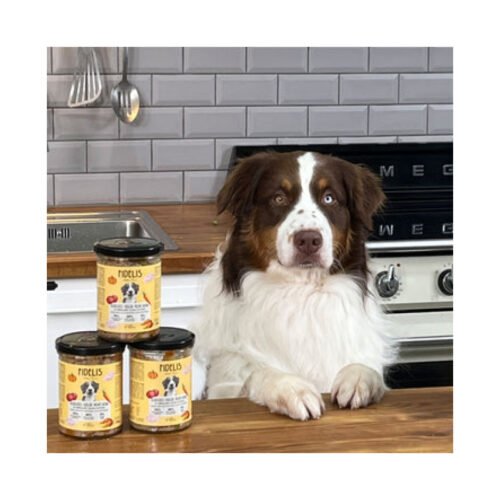 Perro esperando su menú Fidelis Pato