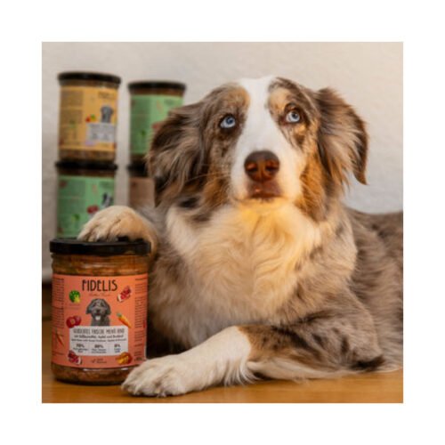 Perro con productos Fidelis