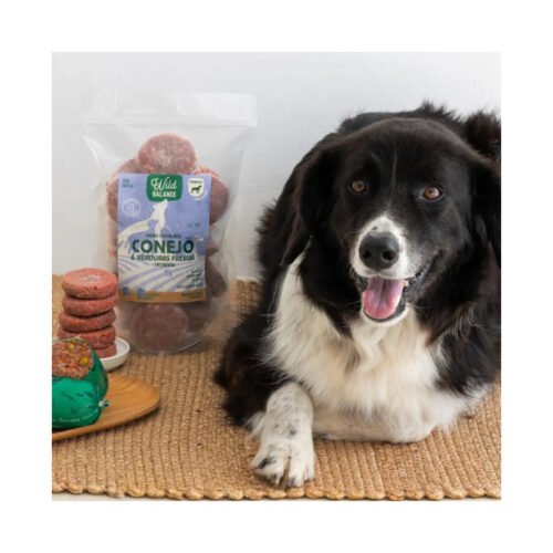 Perro Border Collie junto a bolsa de Wild Balance Conejo