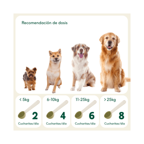 Tabla de dosificación de suplemento articular para perros por peso