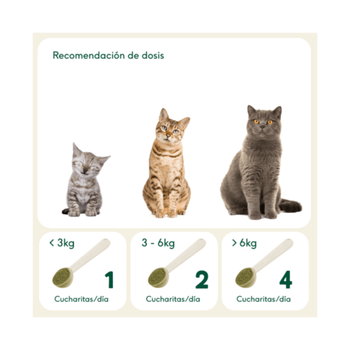 Tabla de dosis de Digestiones Firmes para gatos según peso