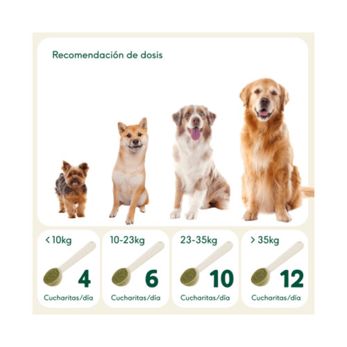 Tabla de dosis de Digestiones Firmes para perros según peso